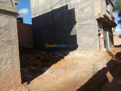 Vente Terrain Mostaganem Ain sidi cherif