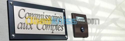 Commissariat aux comptes