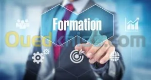 Diplomes professionnelles