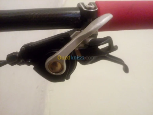Vélo BXT full carbone