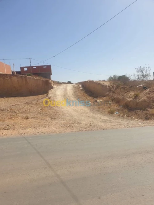 Vente Terrain Tlemcen Souani