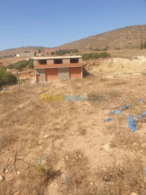 Vente Terrain Tlemcen Souani
