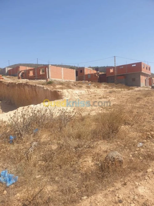 Vente Terrain Tlemcen Souani