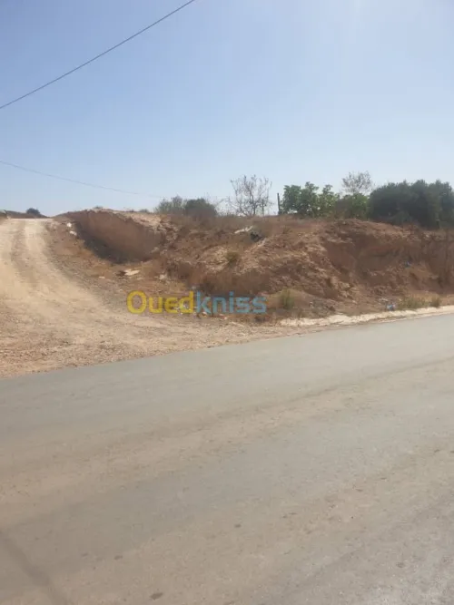 Vente Terrain Tlemcen Souani