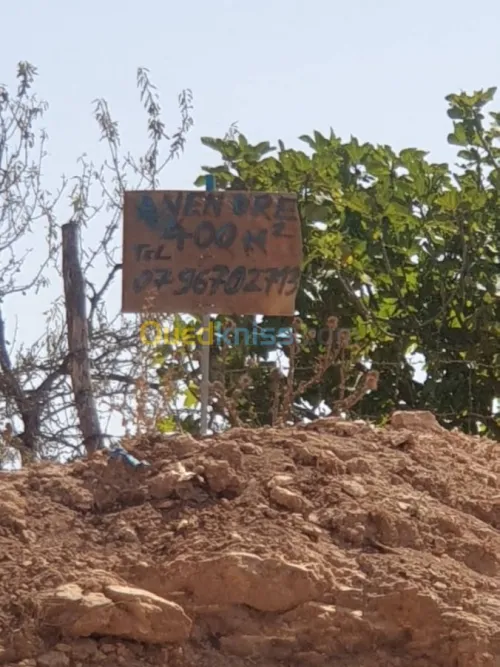 Vente Terrain Tlemcen Souani