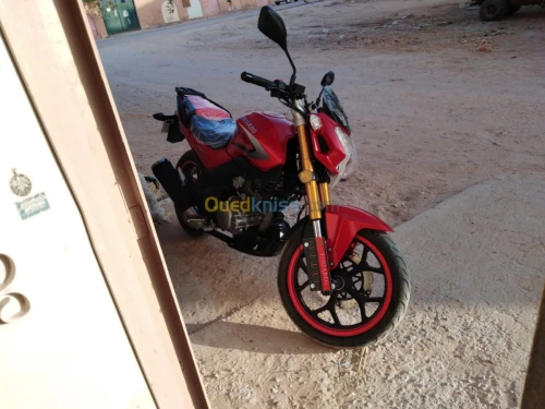 توارق-Touareg DY200-2