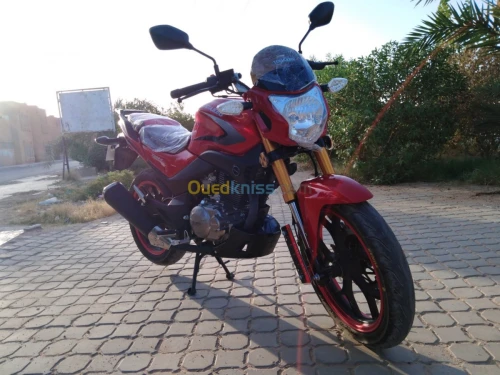 توارق-Touareg DY200-2