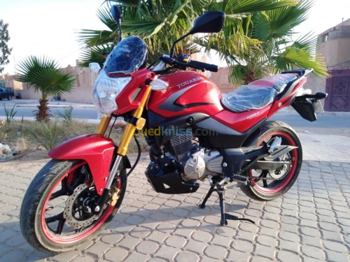 توارق-Touareg DY200-2