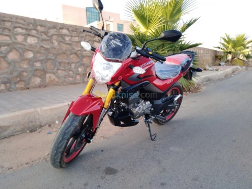 توارق-Touareg DY200-2