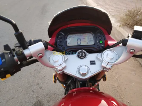 توارق-Touareg DY200-2