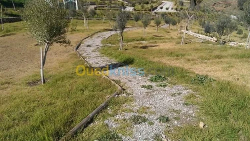 Aménagement de jardins, nettoyage...