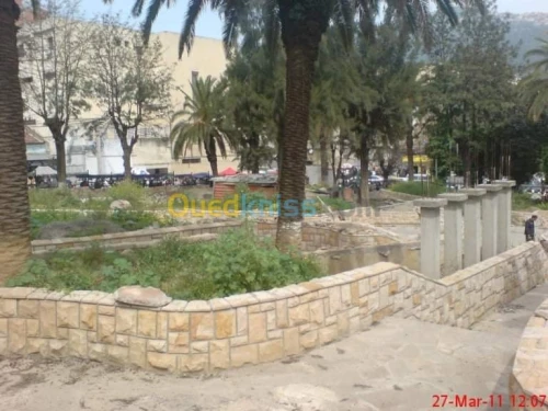 Aménagement de jardins, nettoyage...