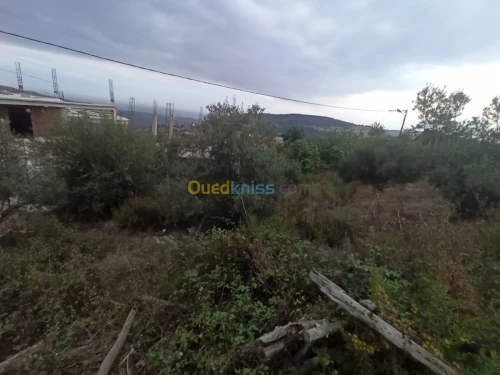 Vente Terrain Blida Djebara