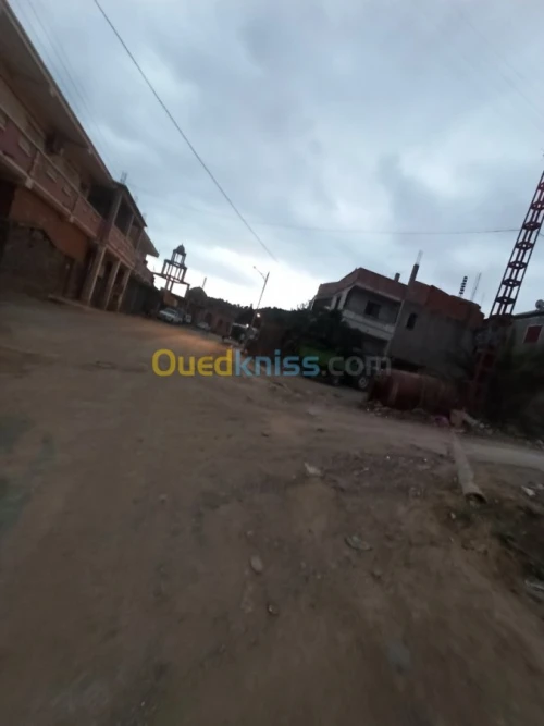 Vente Terrain Blida Djebara