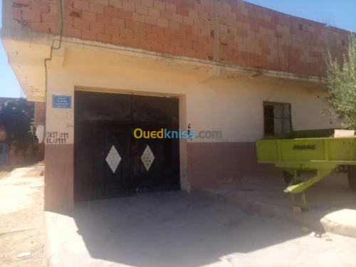 Vente Appartement F7 Saida Saida