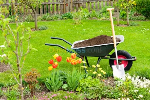 Tout type de jardinage 