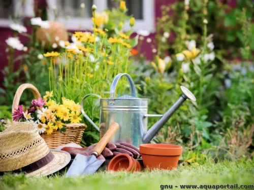 Tout type de jardinage 