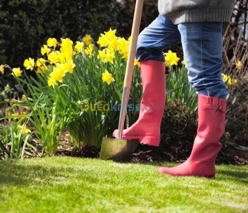 Tout type de jardinage 
