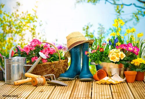 Tout type de jardinage 