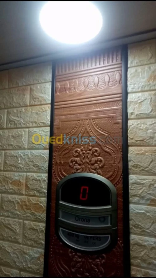  reparation renovation des ascenseurs 