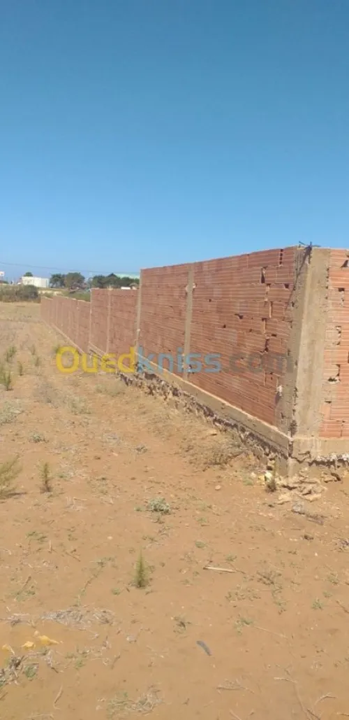 Vente Terrain Mostaganem Mostaganem