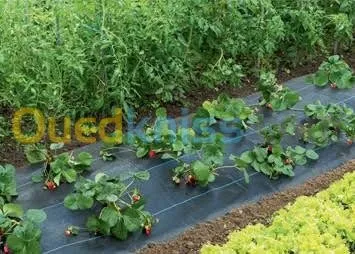 Ombalage et paillage et sachets en pla