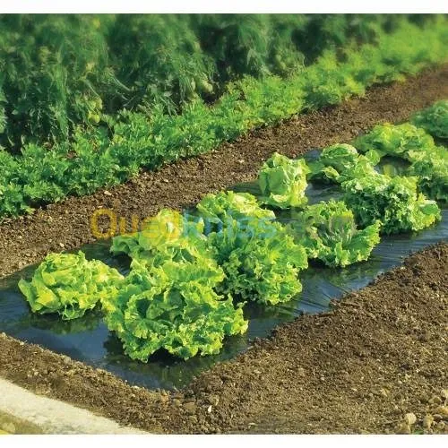 Ombalage et paillage et sachets en pla