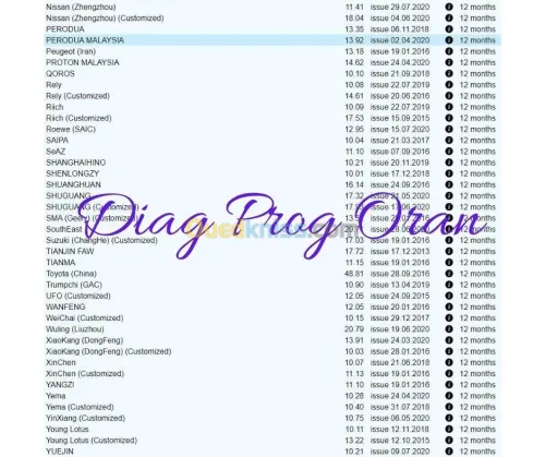 Activation Diagzone Thinkdiag Easydiag GOLO DBScar X431 Pro