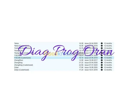 Activation Diagzone Thinkdiag Easydiag GOLO DBScar X431 Pro