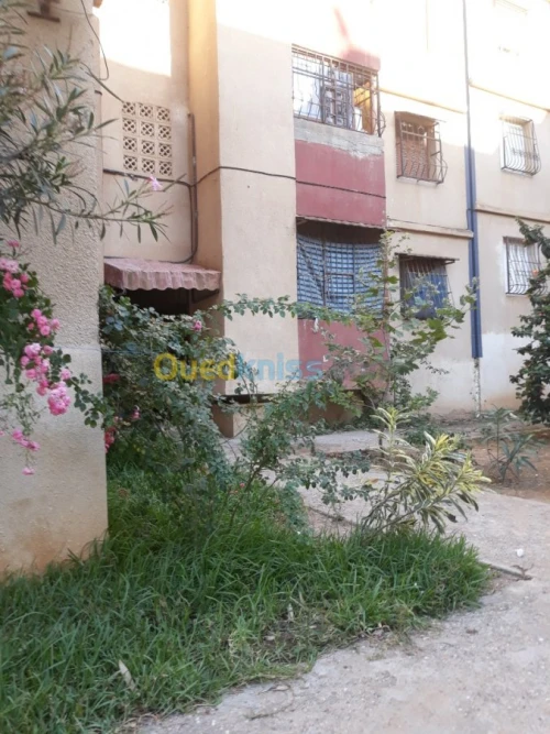 Location Appartement Boumerdès Corso