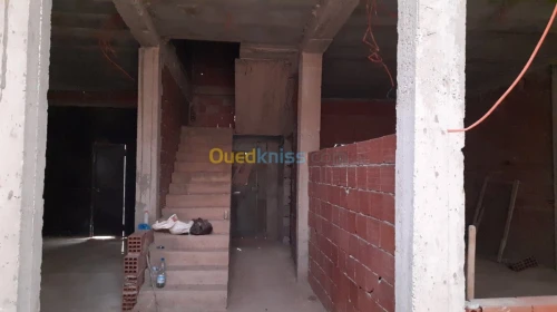 Vente Carcasse Saida Ain el hadjar