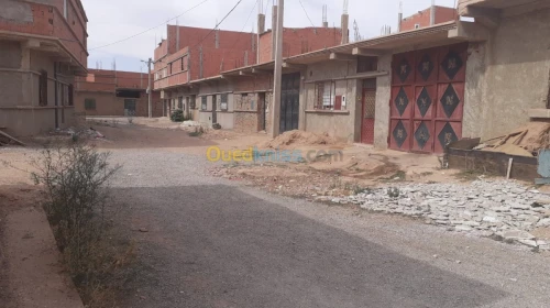 Vente Carcasse Saida Ain el hadjar