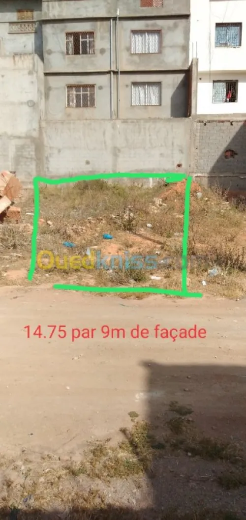 Vente Terrain Tlemcen Marsa ben mhidi