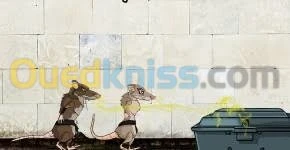 مكافحة الناموس الحشرات و الفئران 