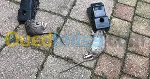 مكافحة الناموس الحشرات و الفئران 