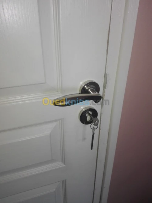 Poignée porte