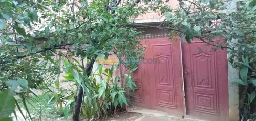 Vente Appartement F7 Jijel Taher