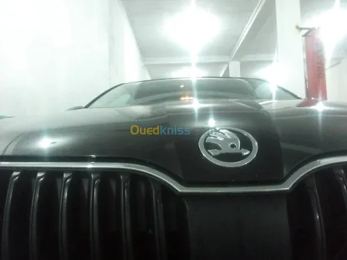 Scanner décalaminage lavage à vapeur