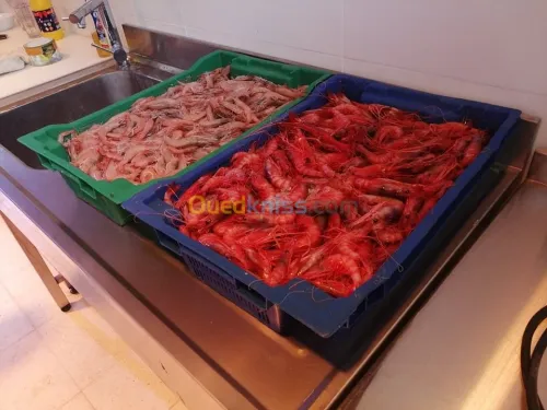 Traiteur paella