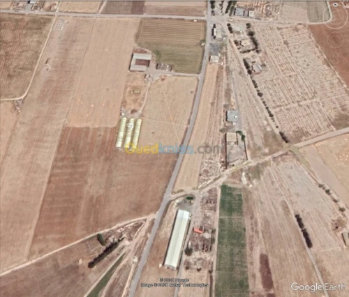 Vente Terrain Setif Guelal