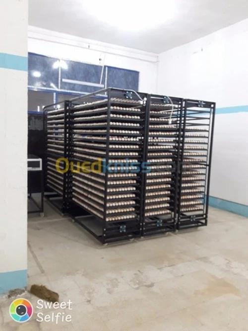 قطع غيار مفرخات couveuse