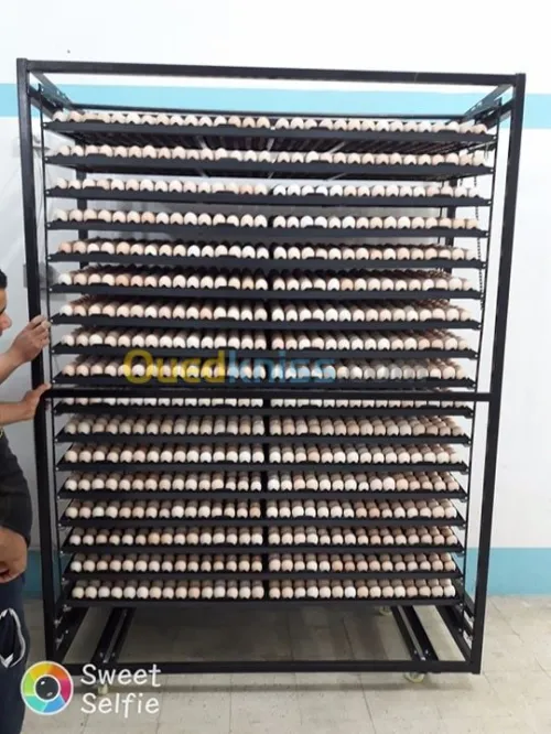 قطع غيار مفرخات couveuse