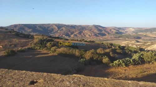Vente Villa Mostaganem Ain boudinar