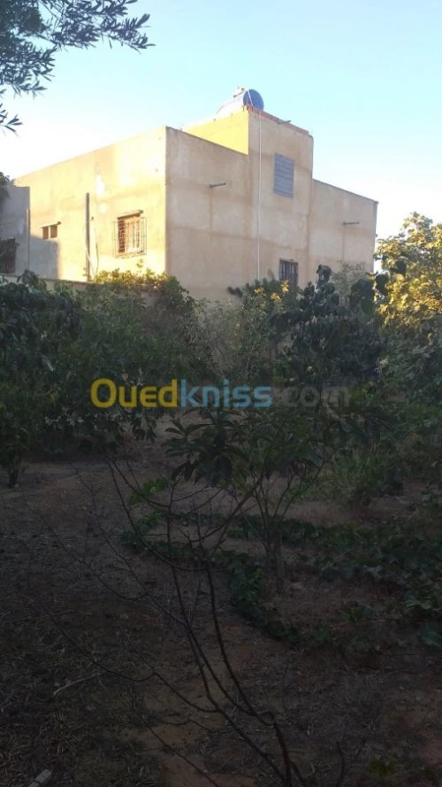 Vente Villa Mostaganem Ain boudinar