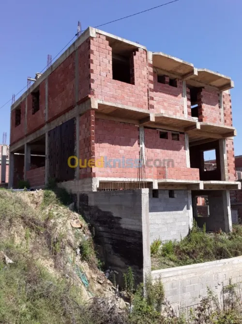 Vente Immeuble Skikda Collo