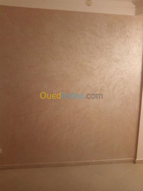 Peindre et décorer les plaques de plât