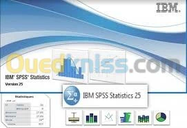 TRAITEMENT SAISIE  TEXTE DONNEE SPSS