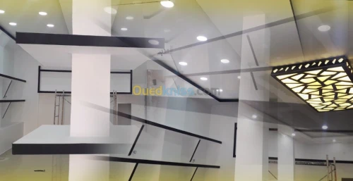 decoration placo, pvc, plafond ba13