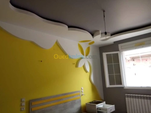 Décoration placo plâtre BA13 .BA10 