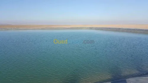 Fournitures et pose de Geomembrane
